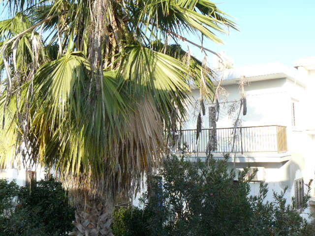Ferienwohnung Katalimata Court Agia Napa Exterior foto